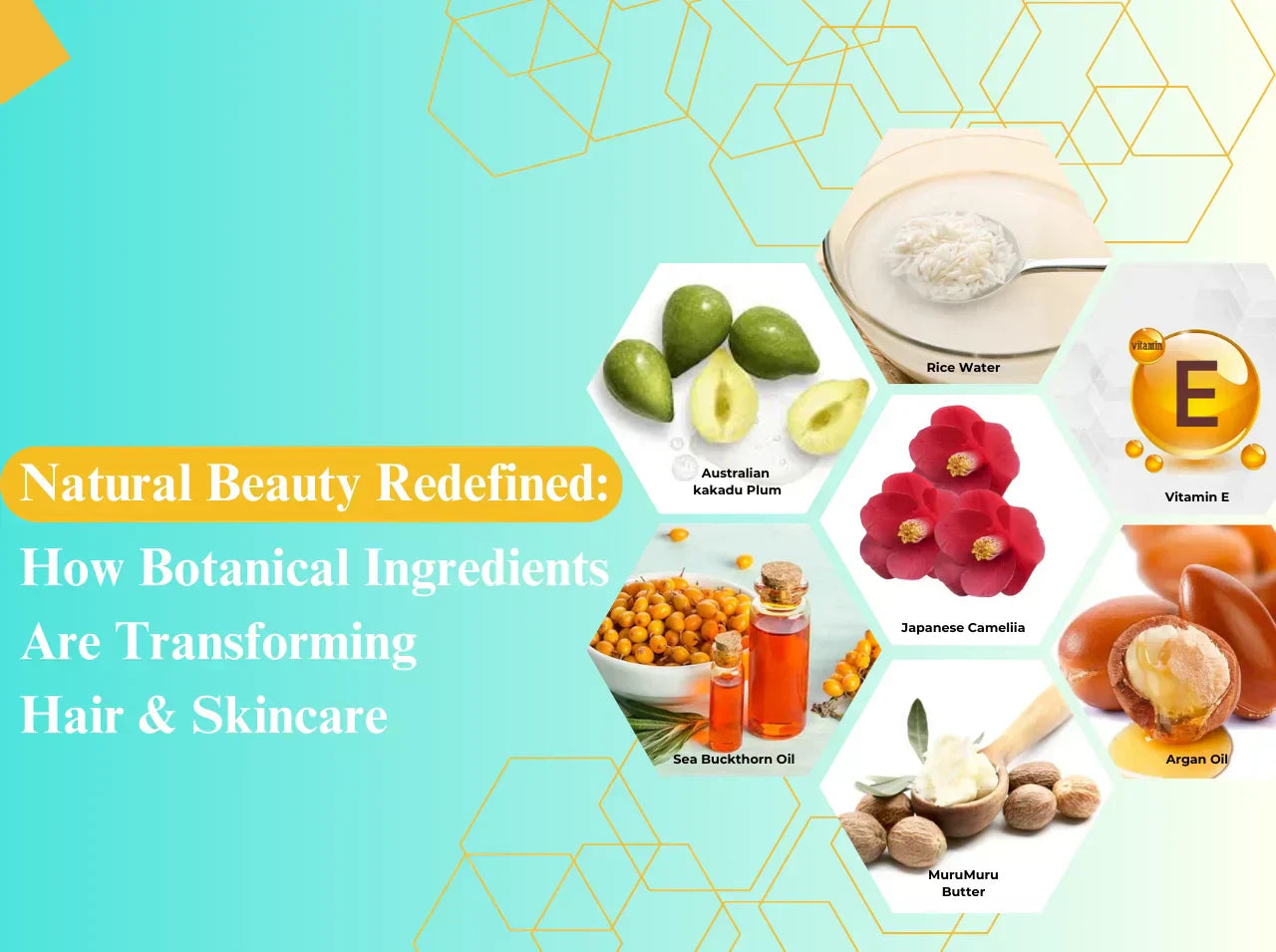 Natural Beauty Redefined: How Botanical Ingredients Are Transforming Hair & Skincare