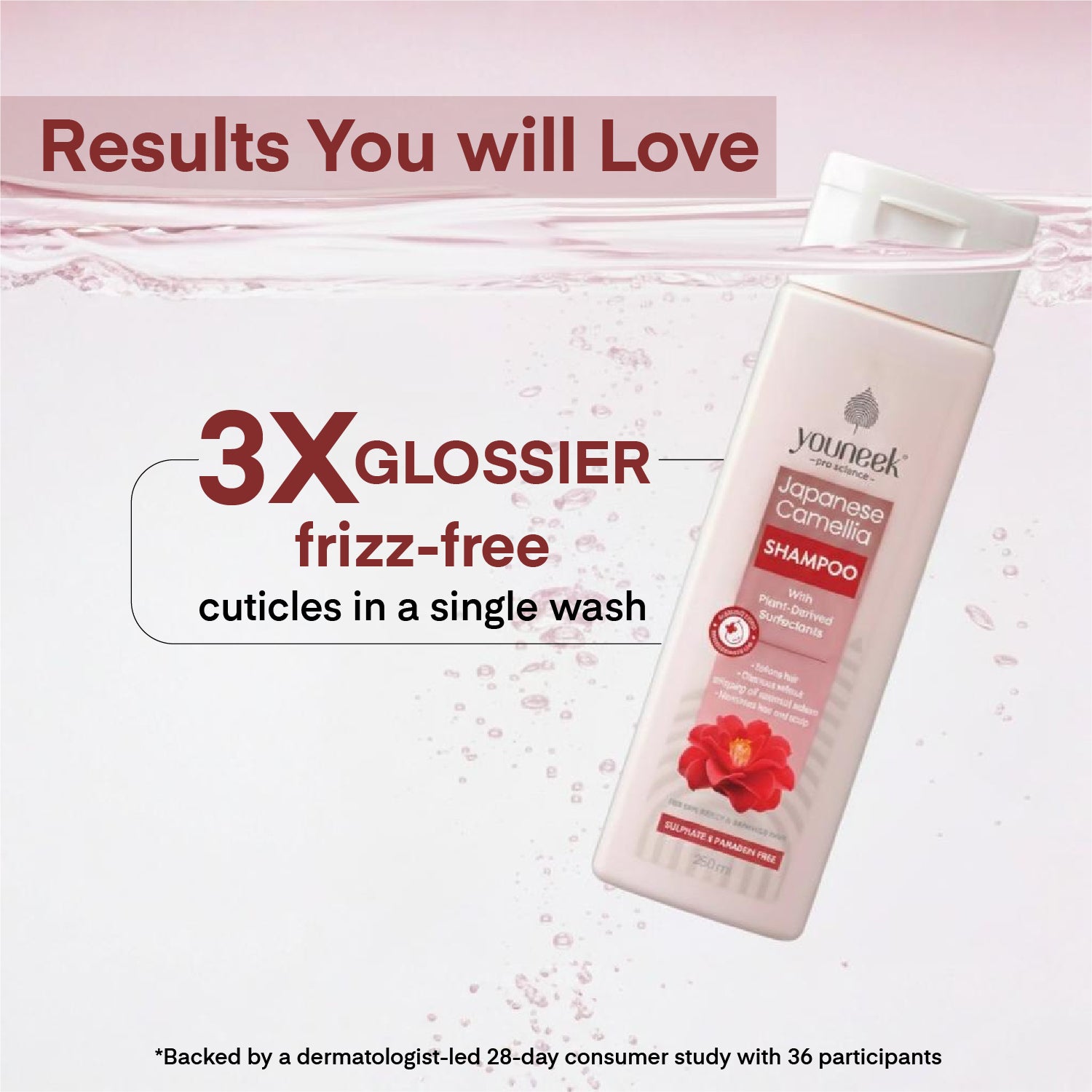 Japanese Camellia Hair Shampoo