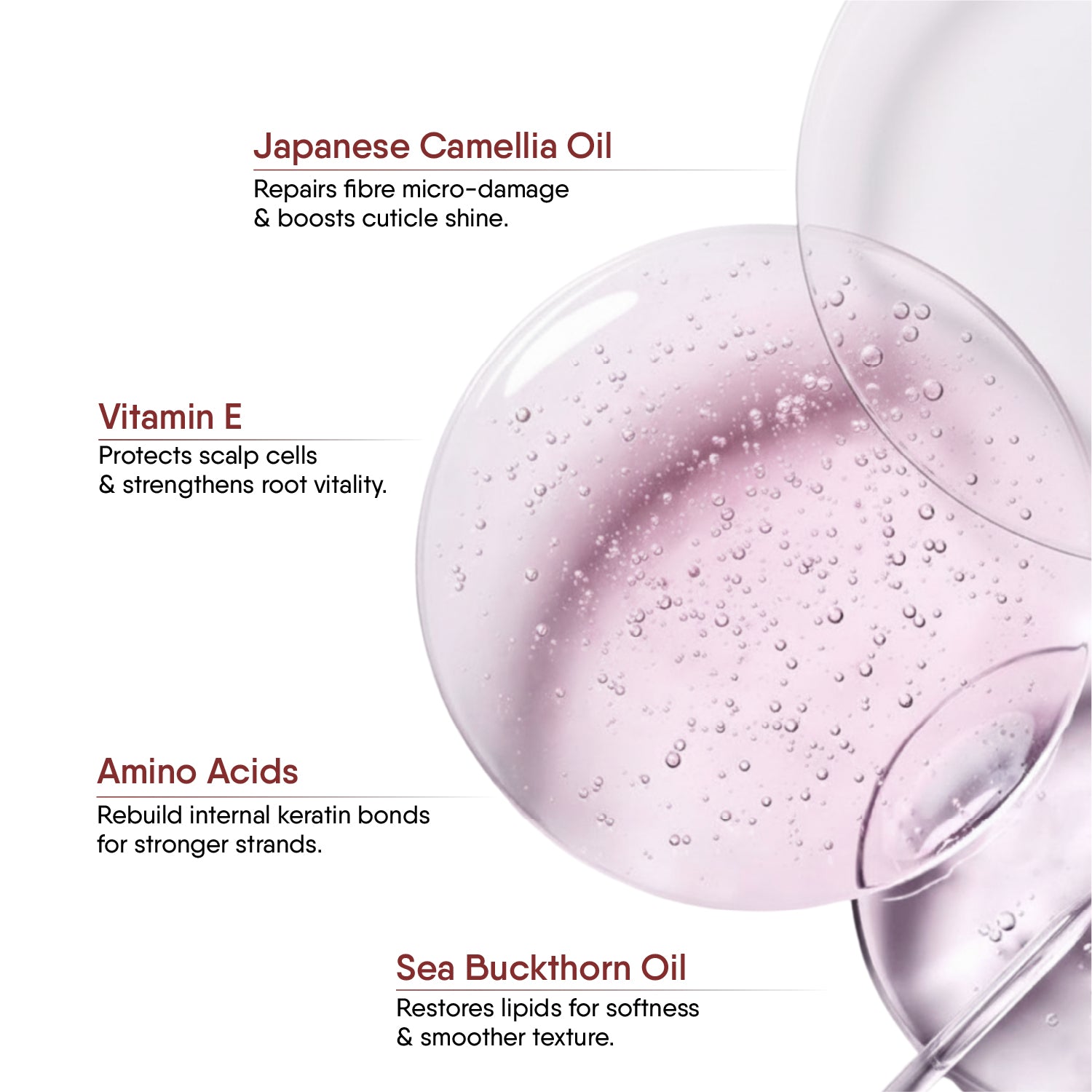 Japanese Camellia Hair Shampoo