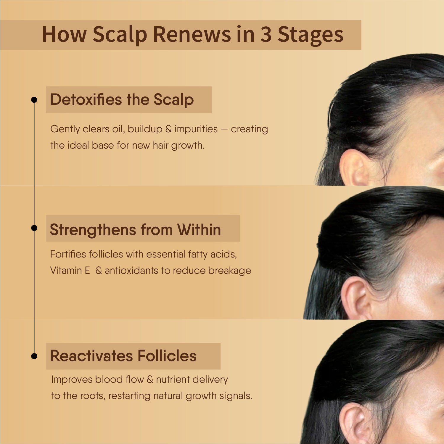 Japanese Camellia Hair Oil