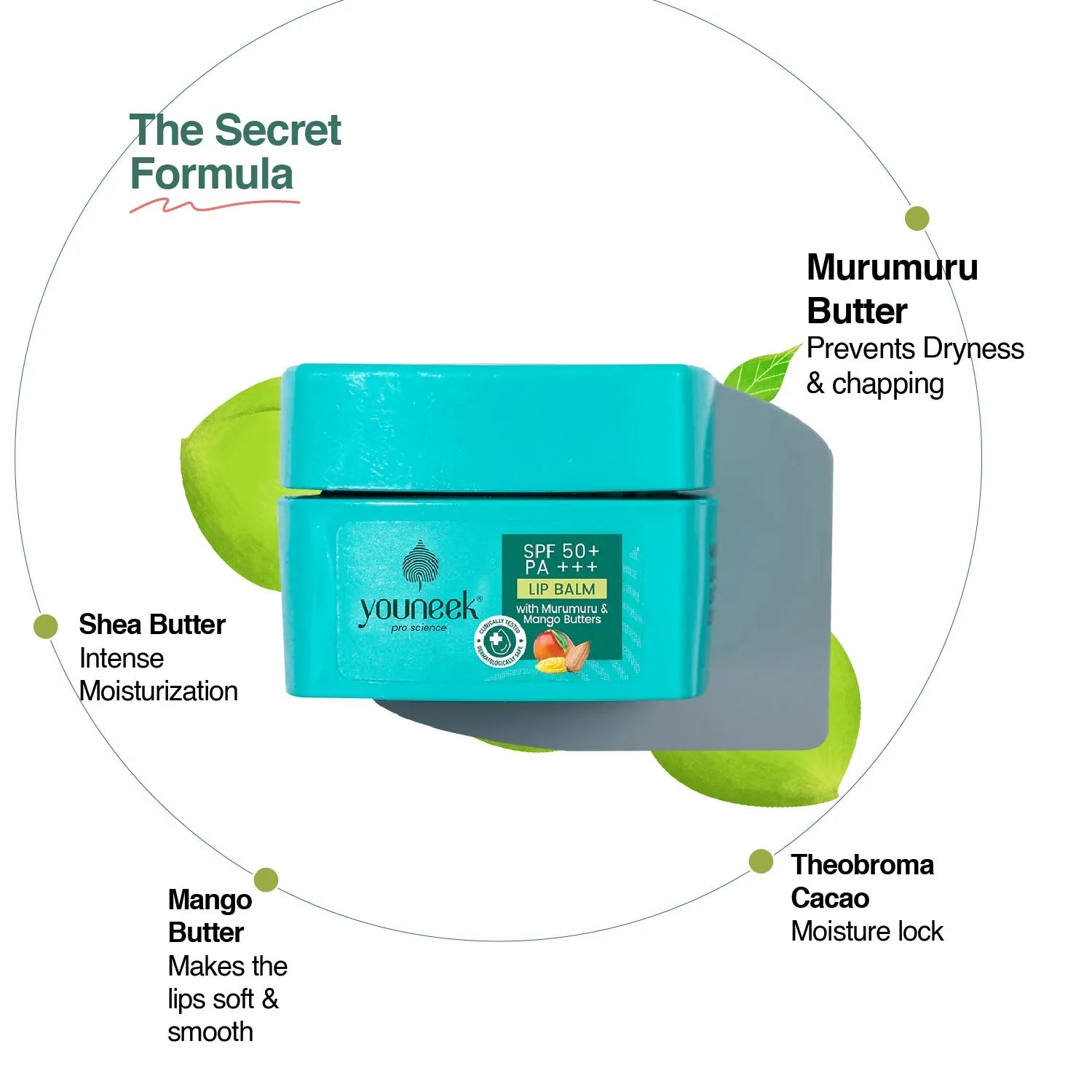 Lip balm with SPF 50+ Benefits | Youneekproscience
