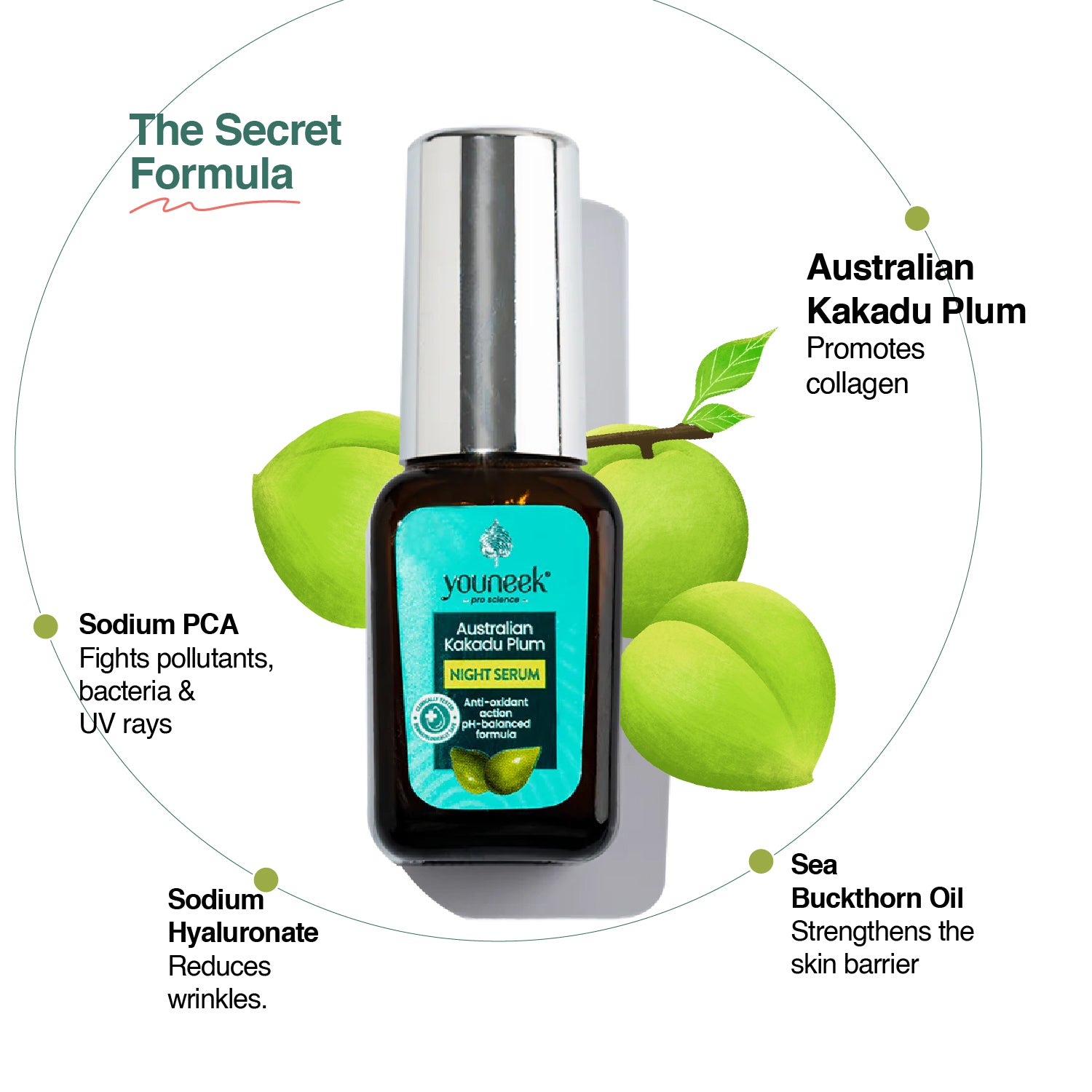 Australian Kakadu Plum Night Serum