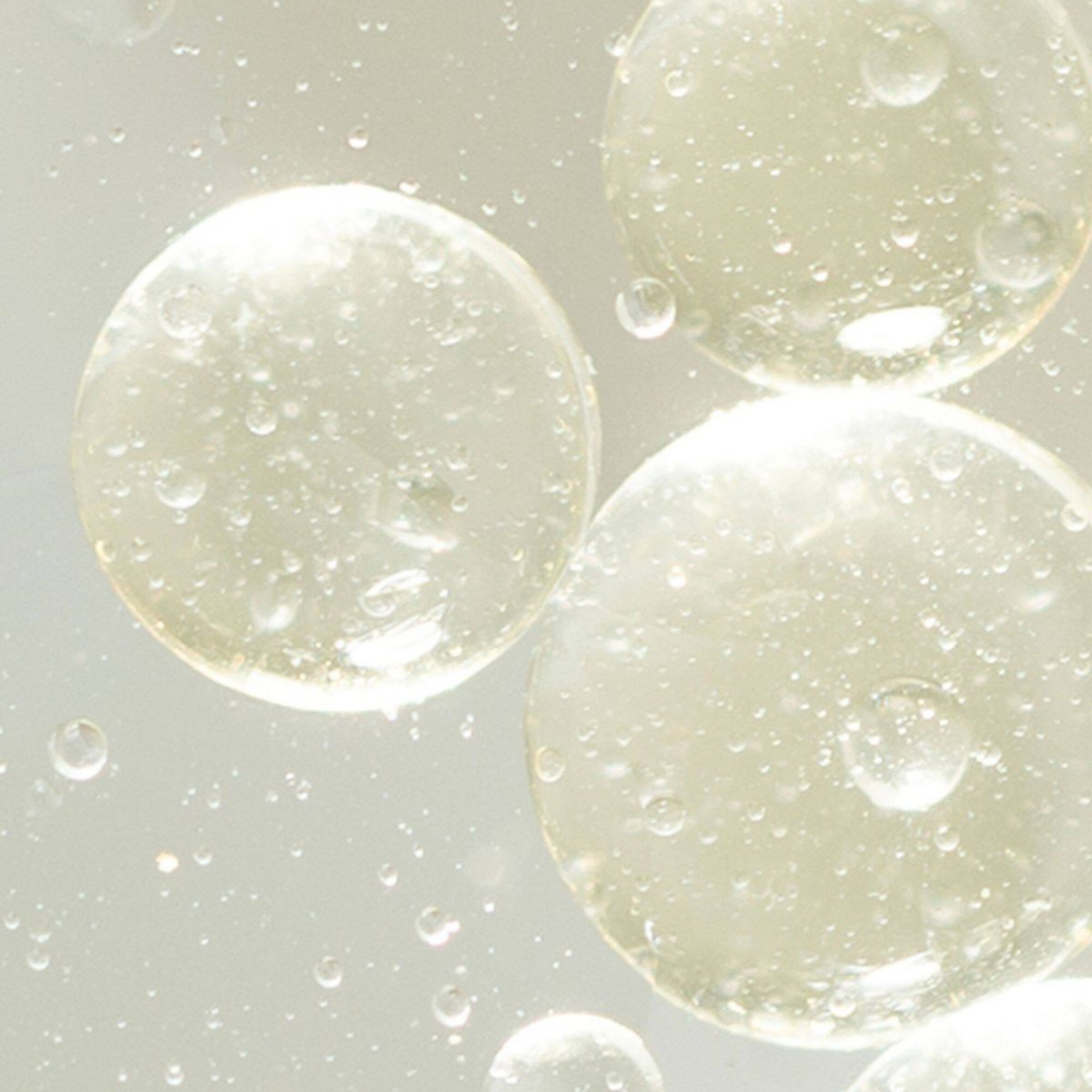 Sodium Hyaluronate (HA)