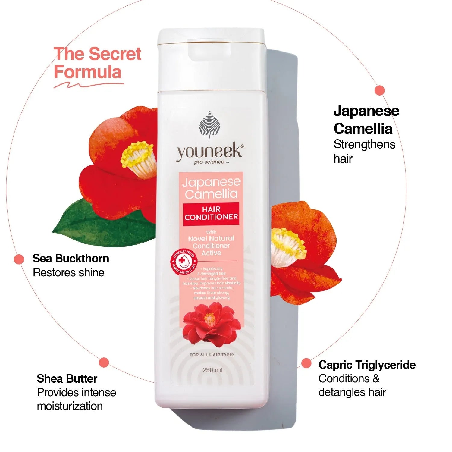 Japanese Camellia Hair Conditioner