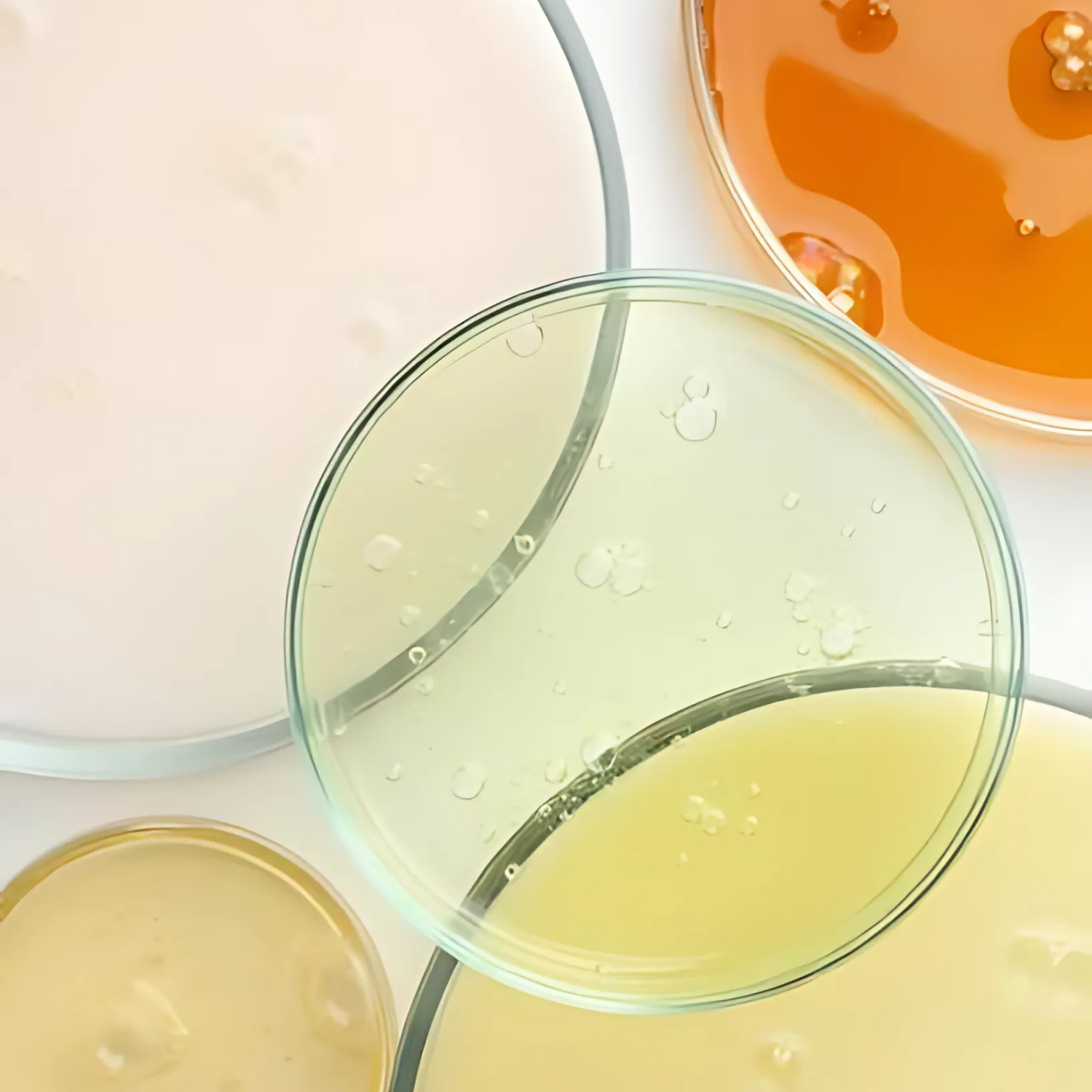 Amino Acid Blend + Polyquaterniums