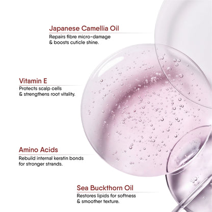 Japanese Camellia Hair Shampoo