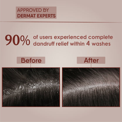 Japanese Camellia Special Action Shampoo