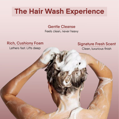 Japanese Camellia Hair Shampoo