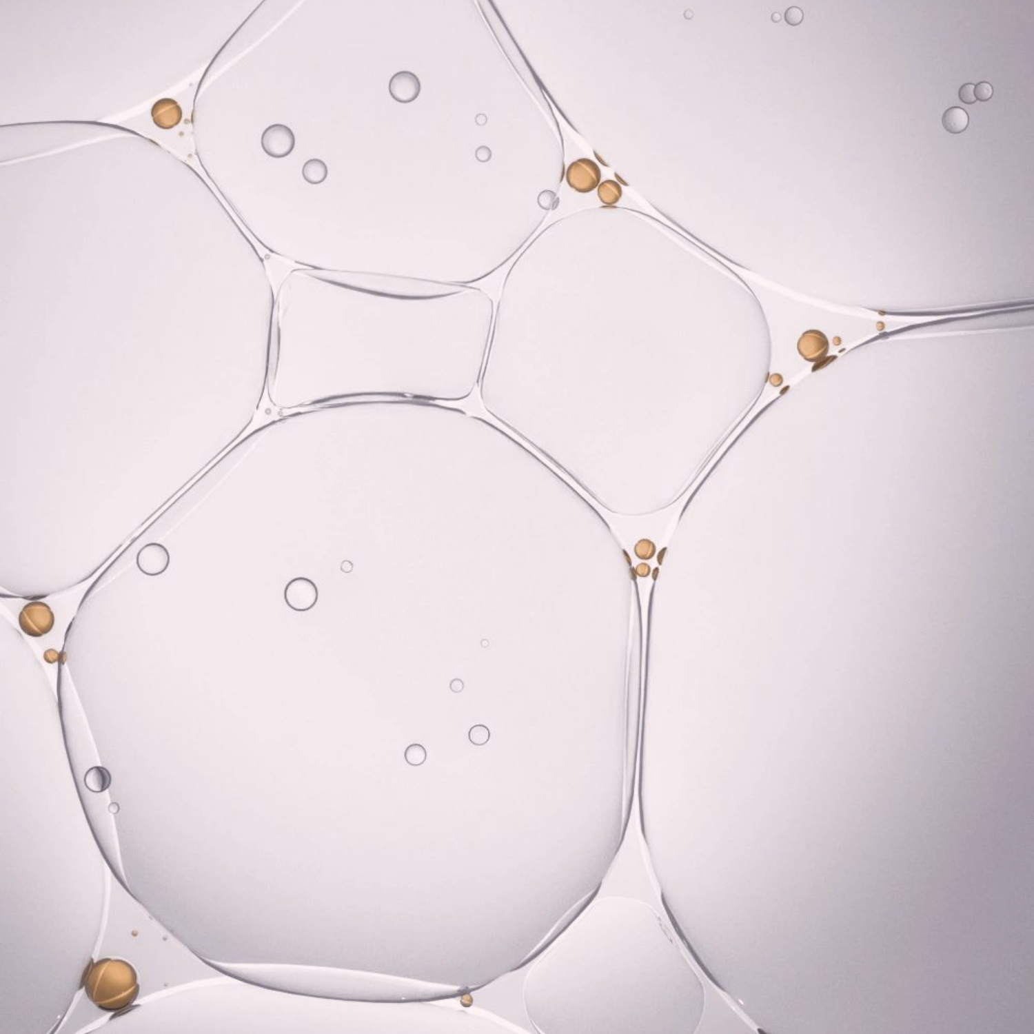 Sulphate-Free Cleansers
